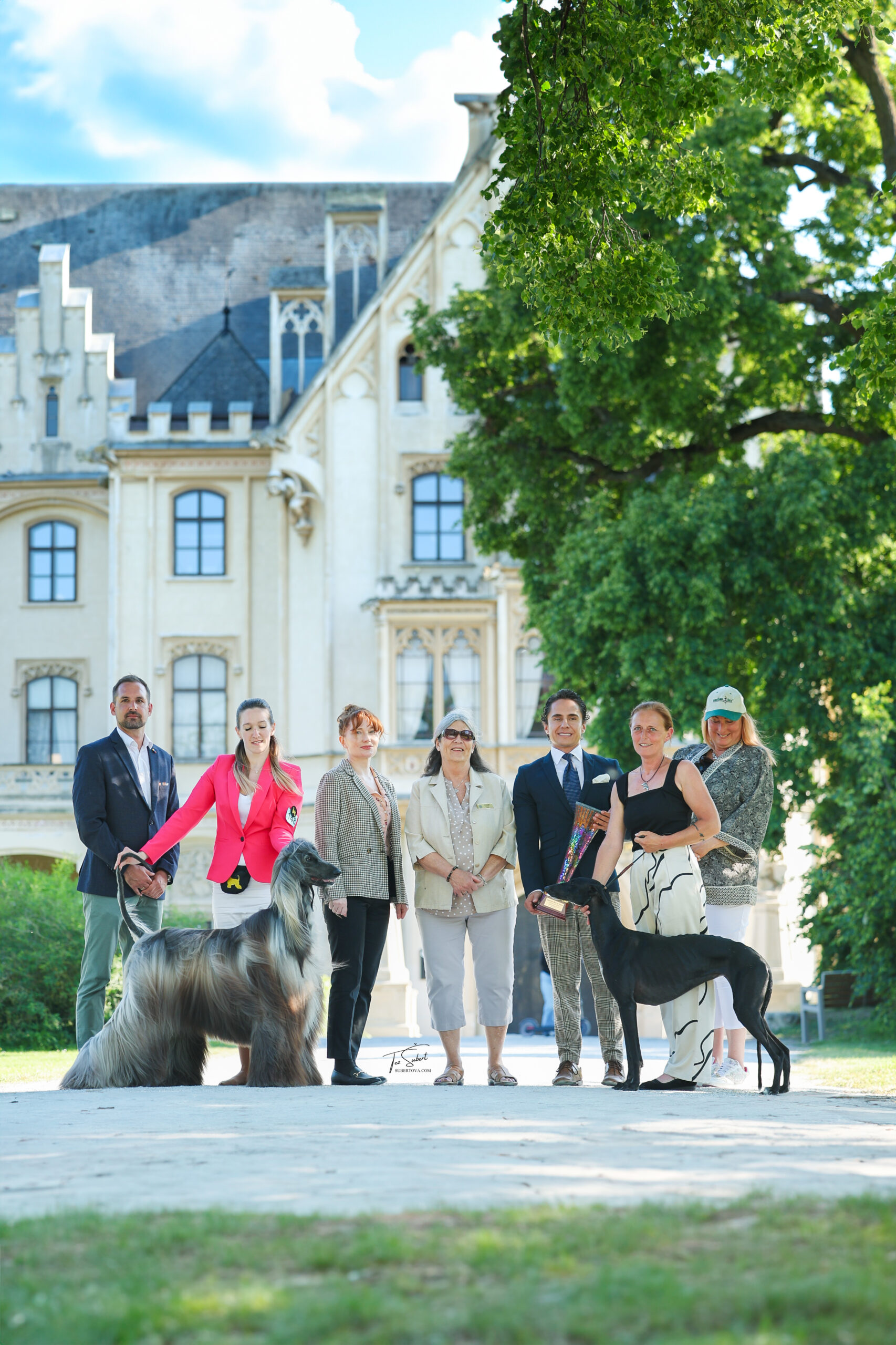 Ein Fest für Windhunde-Liebhaber im Schlosspark Grafenegg